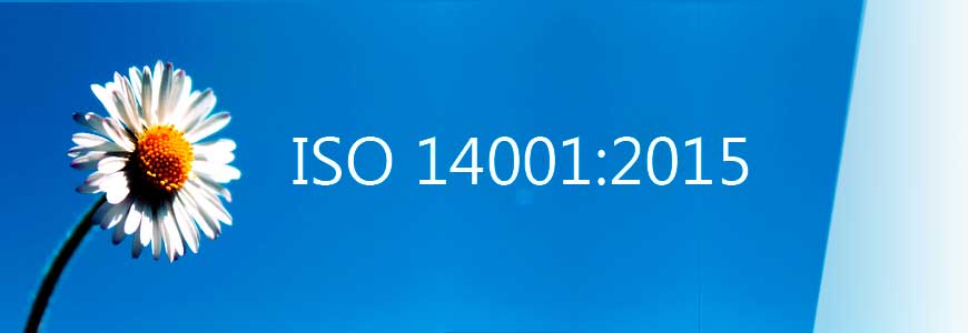 Curso Nueva Norma ISO 14001:2015