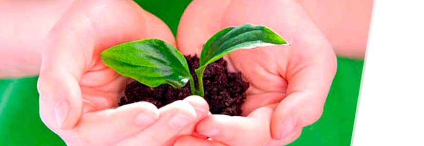 Máster en Gestión Ambiental Sostenible