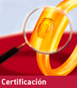 BV Certificacion