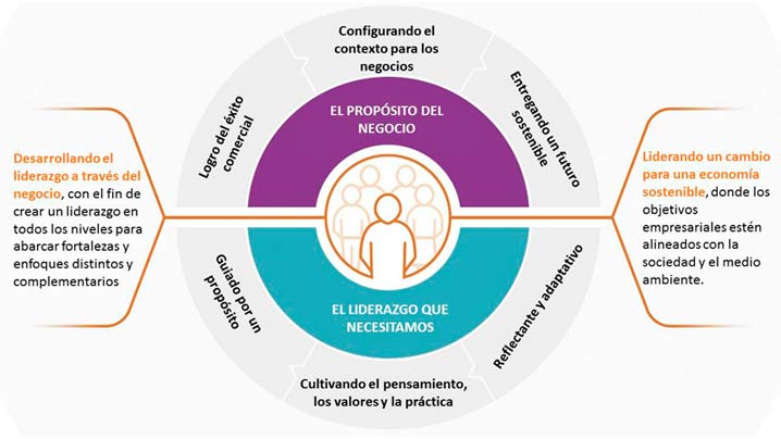 Desarrollo del liderezgo para los negocios