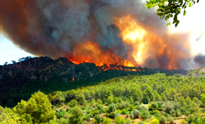 Incendio Forestal en Mallorca