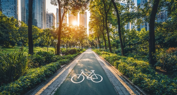 nueva Ley de Movilidad Sostenible