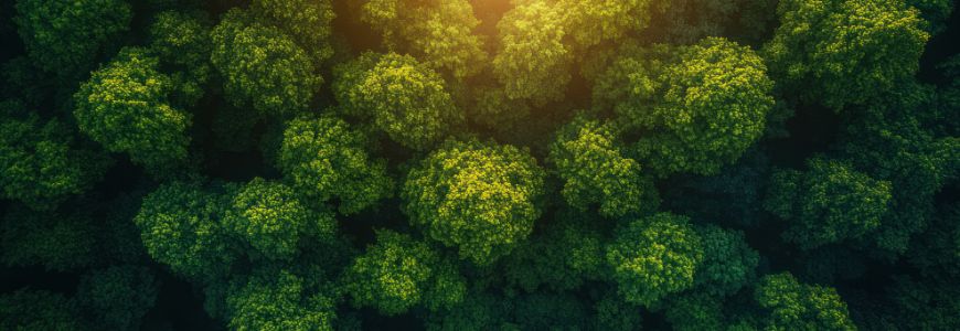 Pack Auditor interno de medio ambiente ISO 14001:2026, Auditor interno de sistemas de gestión de la energía ISO 50001:2018 Y Huella de carbono y cambio climático