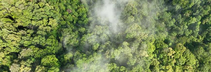 Especialista en cambio climático, huella de carbono y economía circular