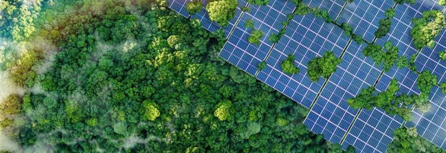 Carbon footprint and climate change