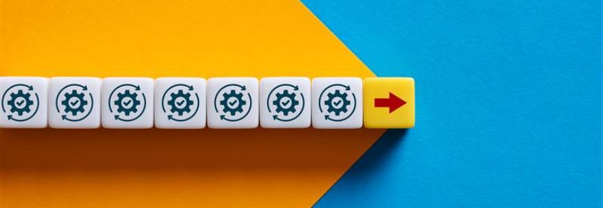 Mejora continua y 5S: Fundamentos de la excelencia operacional