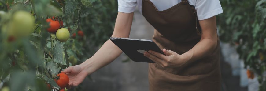 Ley de prevención del desperdicio alimentario