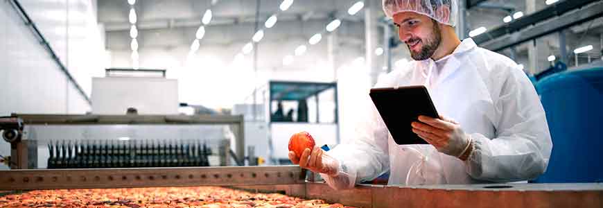 Auditor Jefe para la certificación de sistemas de gestión de Seguridad Alimentaria (acreditación IRCA 2061) - Aula Virtual