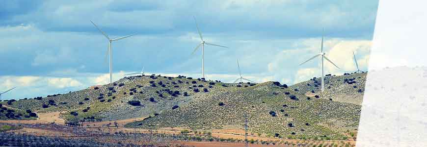 Gestión del Medio Ambiente y Desarrollo Sostenible
