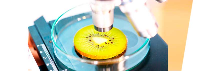 Máster en Gestión de la Seguridad Alimentaria