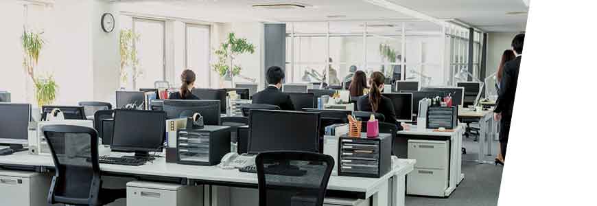 Prevención de Riesgos Específicos en tu Puesto de Trabajo: Oficinas y Despachos
