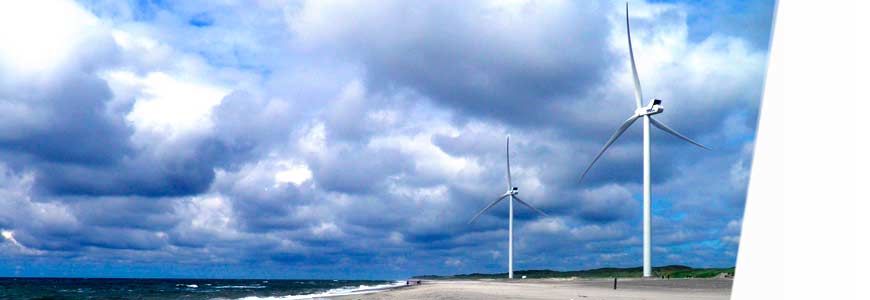 Programa Superior en Offshore Wind