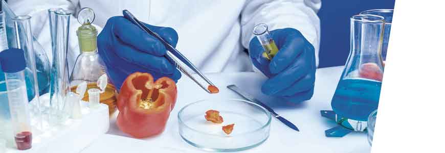 Sistema de Gestión de la Inocuidad Alimentaria según FSSC 22000 v5.1