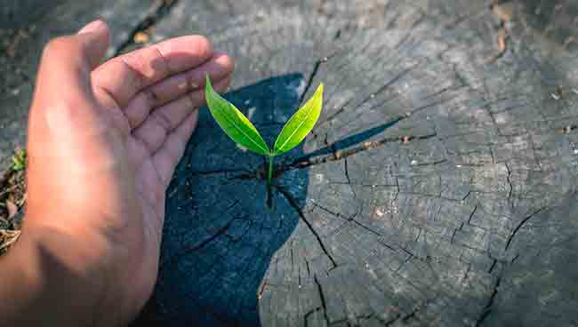 Cursos de ESG y sostenibilidad