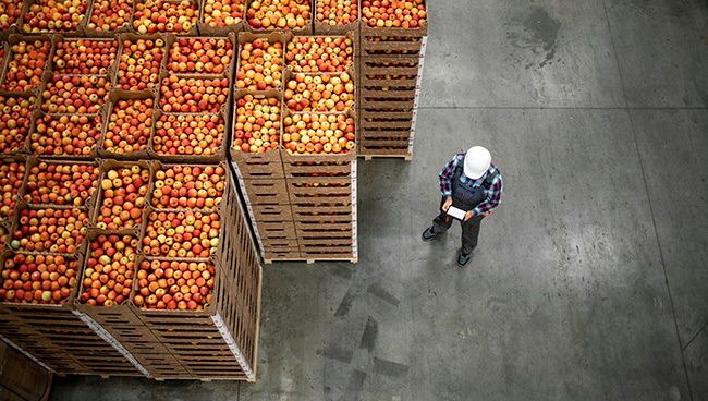 Webinario Gratuito - La figura del Responsable de exportaciones en un departamento de calidad de una empresa alimentaria exportadora