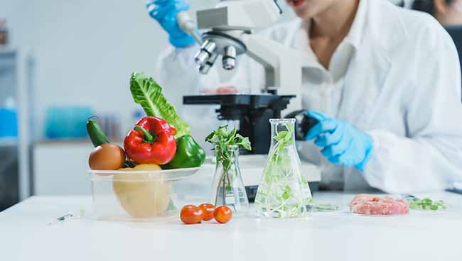 Webinario Gratuito - Conviértete en un profesional experto en las principales normas de seguridad alimentaria reconocidas a nivel mundial